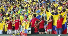 Колумбийски и бразилски фенове на трибуните на стадион „Кастелао“ във Форталеза по време на четвъртфинала на 4 юли 2014 г.